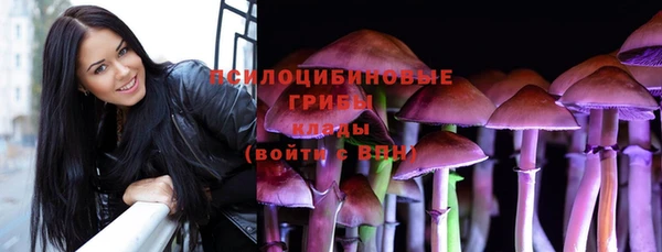 прущие крисы Арсеньев