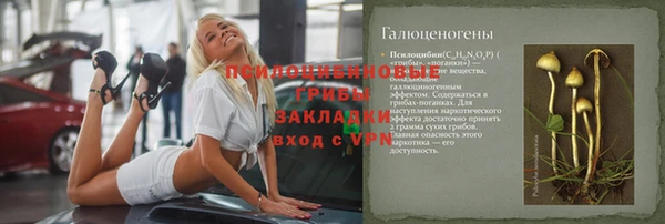 прущие крисы Арсеньев