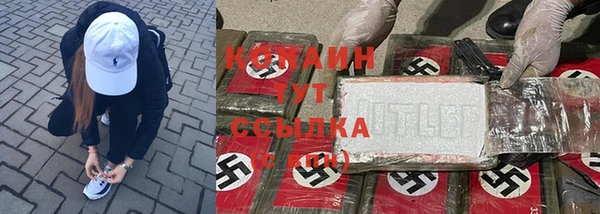 ешки Аркадак