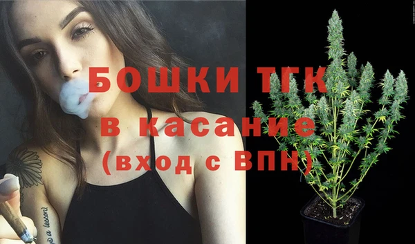 прущие крисы Арсеньев