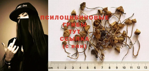 прущие крисы Арсеньев