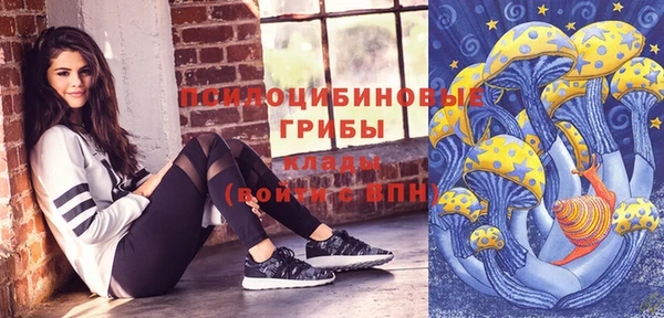 ешки Аркадак