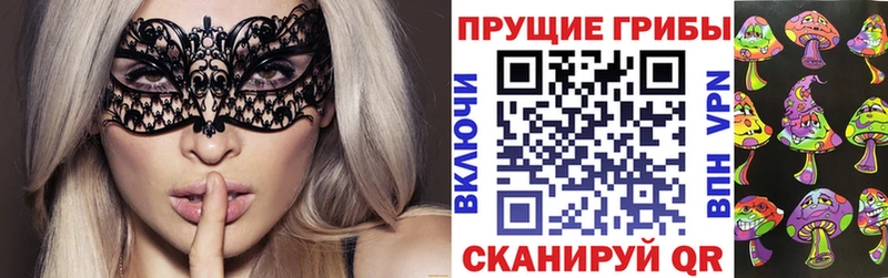 Купить  Буй  Псилоцибиновые грибы GOLDEN TEACHER 